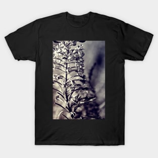 Caught in the Sun T-Shirt